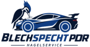 Blechspecht
